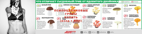 гидра Медвежьегорск