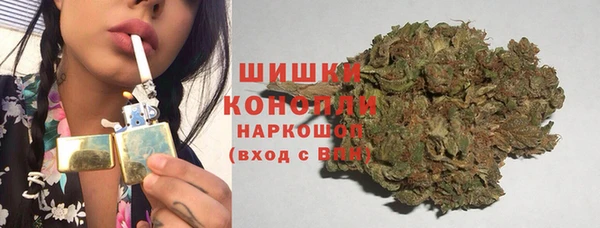 гидра Медвежьегорск