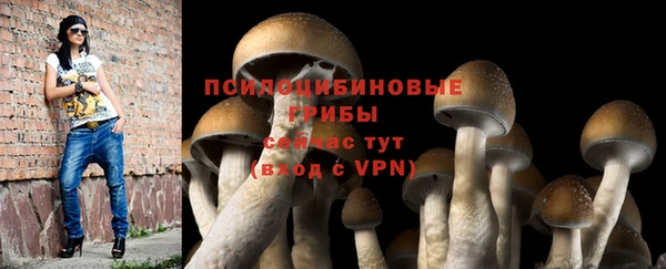 гидра Медвежьегорск