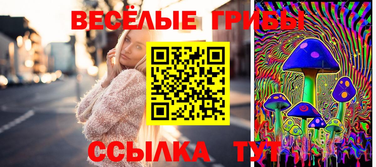 Псилоцибиновые грибы Magic Shrooms Нерюнгри
