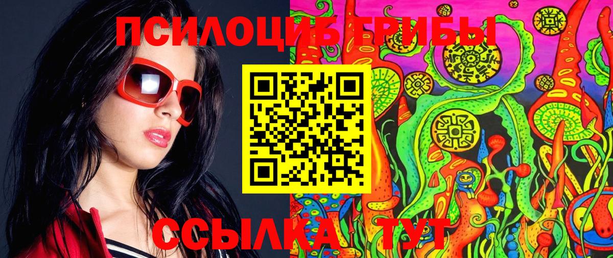 Галлюциногенные грибы Cubensis  Нерюнгри 