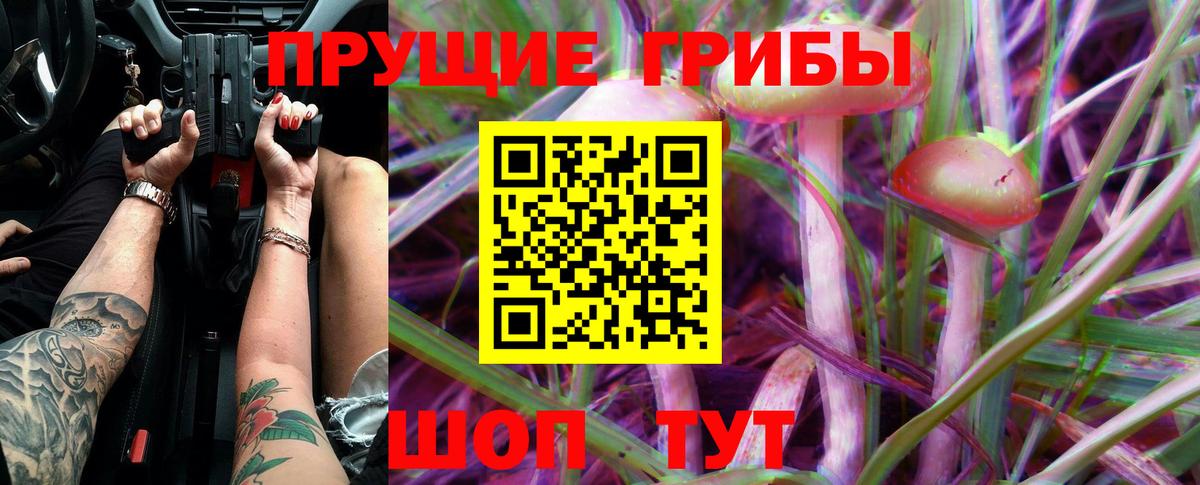 Галлюциногенные грибы Psilocybe Нерюнгри