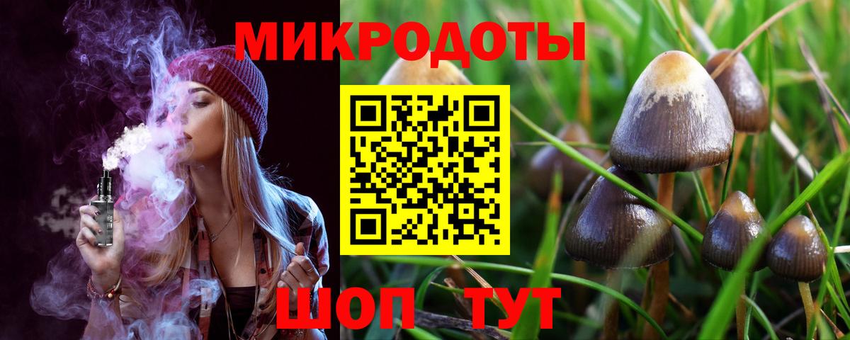 Галлюциногенные грибы Cubensis  Вход с VPN  Нерюнгри 