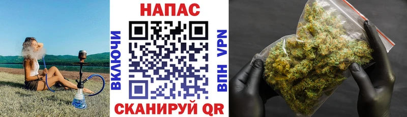 mega онион  Нерюнгри  Бошки Шишки White Widow 